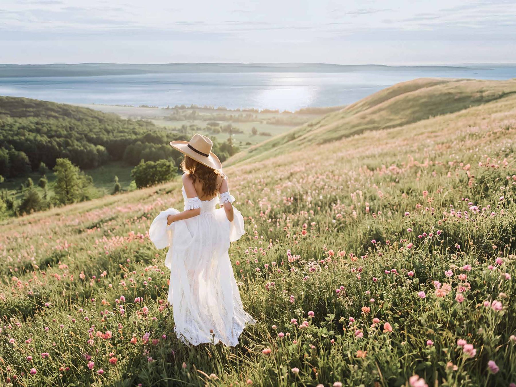 Wildflower meadow overlooking Cook's Bay